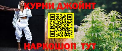 прущие грибы Кингисепп