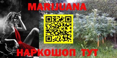 гидра Кинель