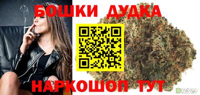 гидра Кинель