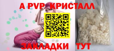 прущие грибы Кингисепп