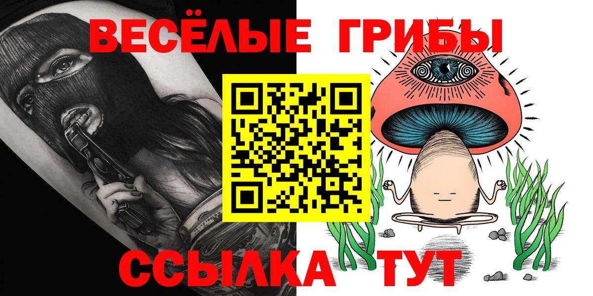 Псилоцибиновые грибы GOLDEN TEACHER Лениногорск