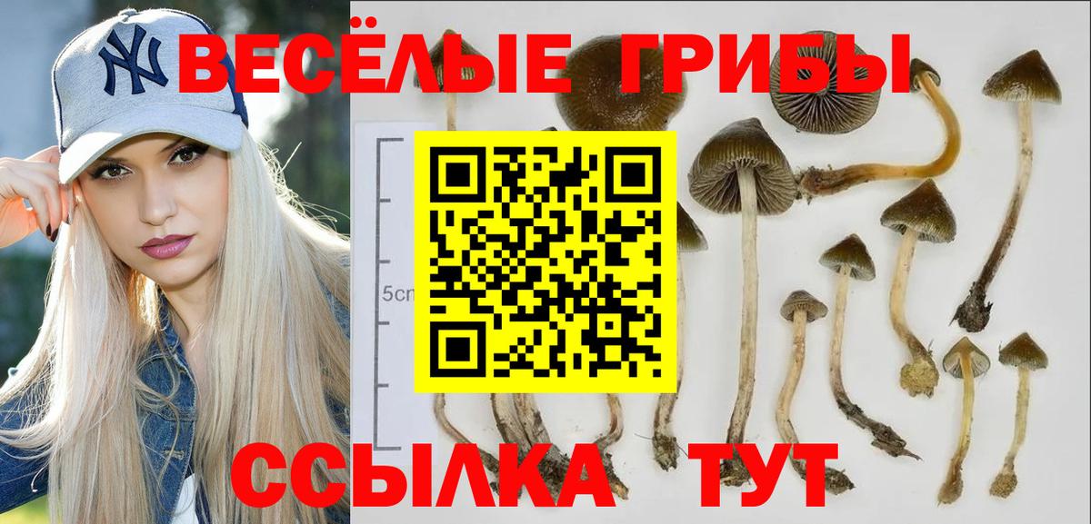 Галлюциногенные грибы MAGIC MUSHROOMS  Галлюциногенные грибы Psilocybe  Вход с VPN  Лениногорск 