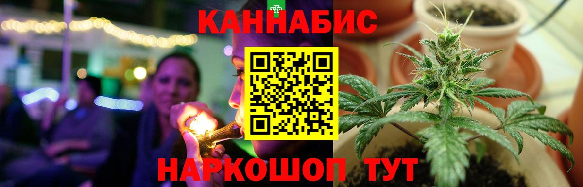 МАРИХУАНА сатива Лениногорск